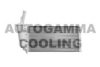 AUTOGAMMA 101990 Radiator, engine cooling